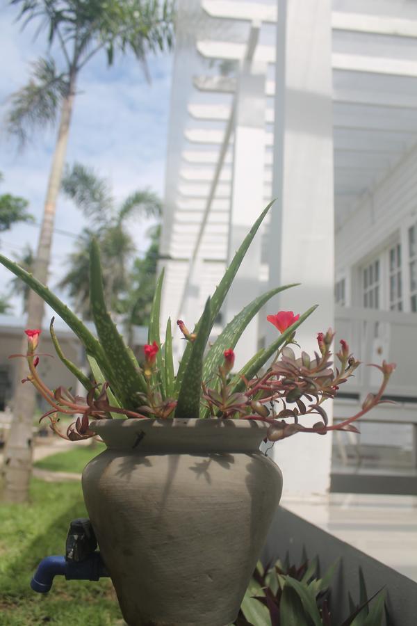 Casa Blanca Gili Air Hotel Exterior photo
